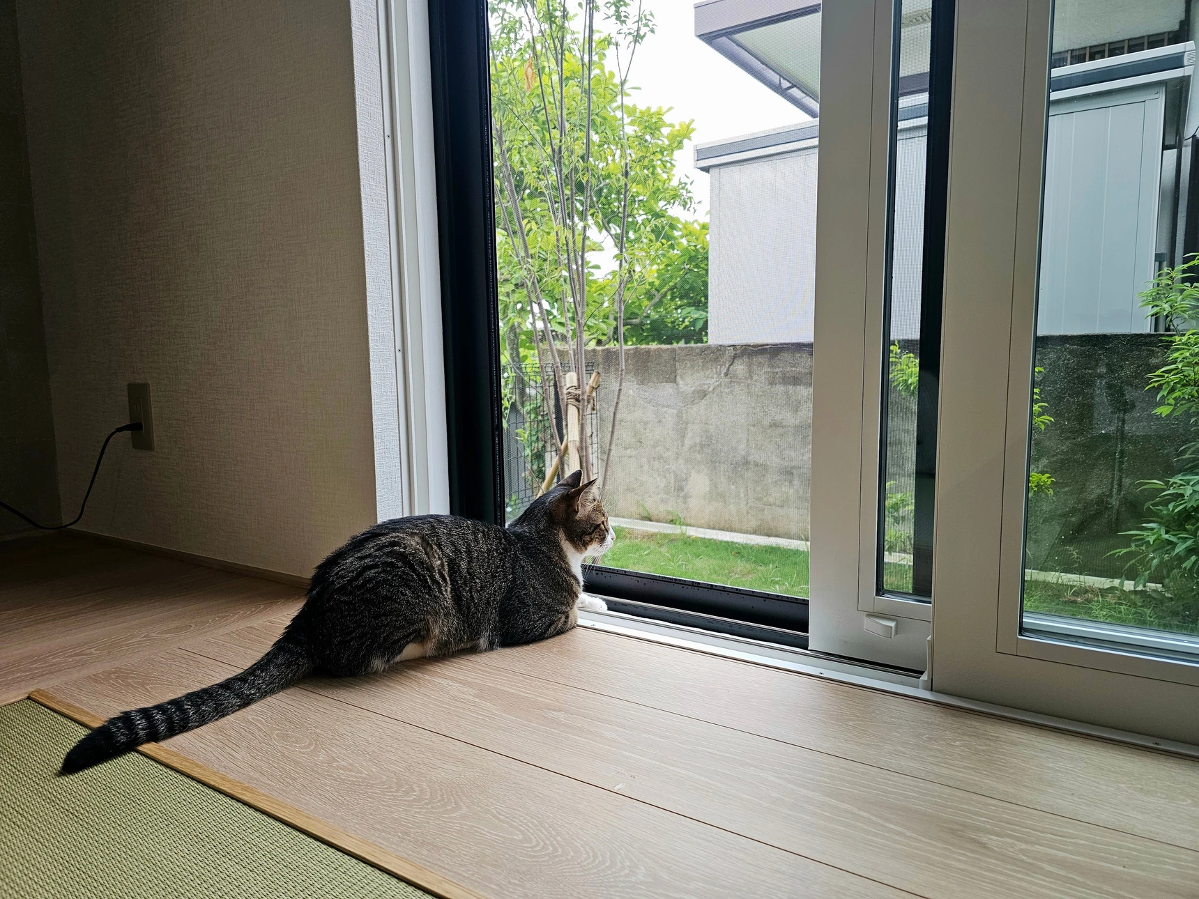 Espace de vie moderne avec grande baie vitrée coulissante ouverte sur terrasse paysagée